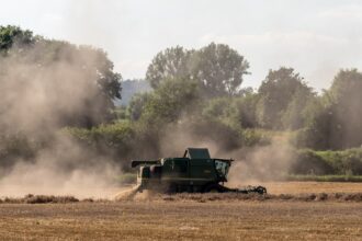 A green John Deere combine harvester harvesting golden grain crops in an agricultural field