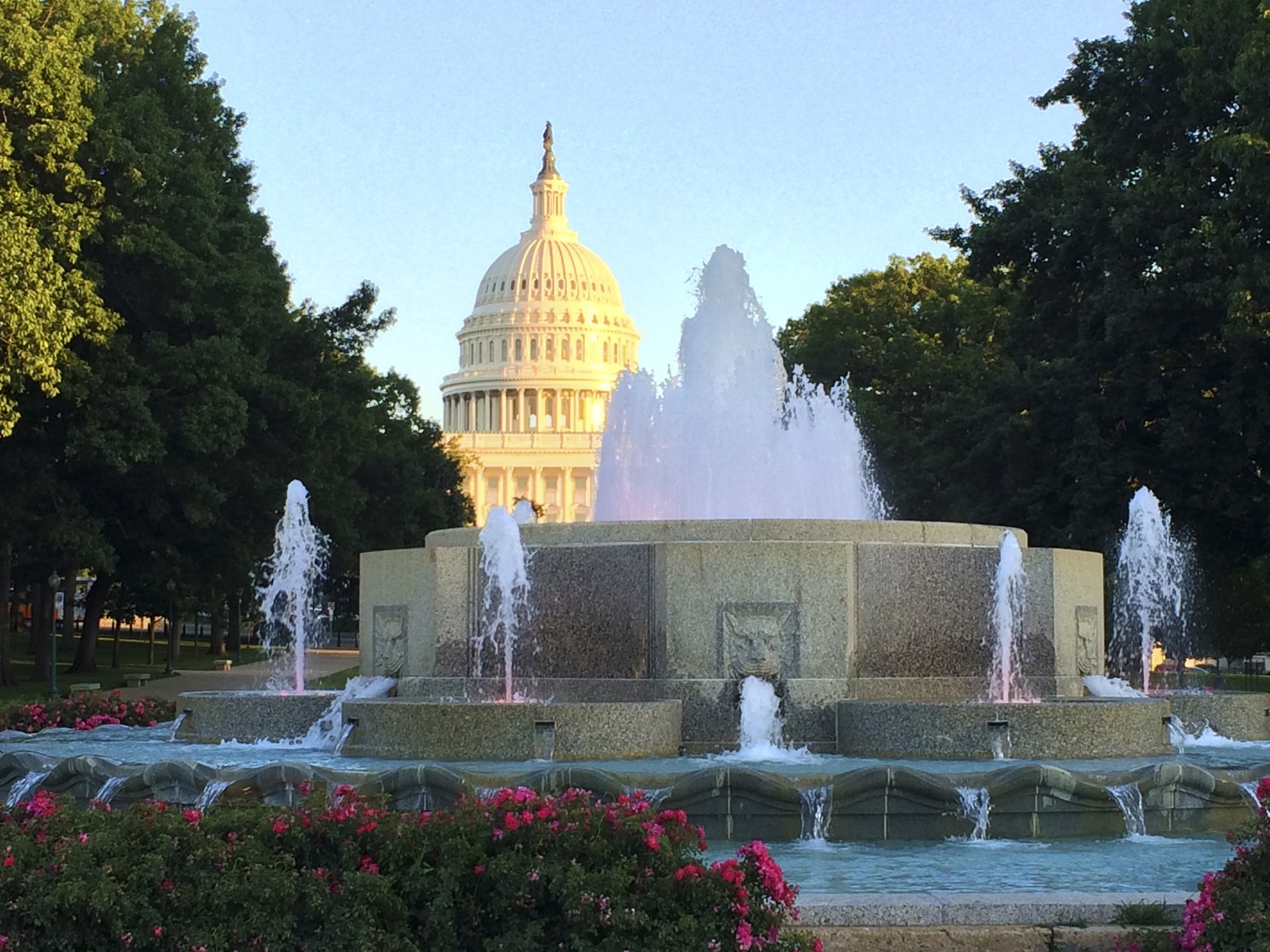 The United States Capitol dome rising above the Senate wing in Washington D.C.